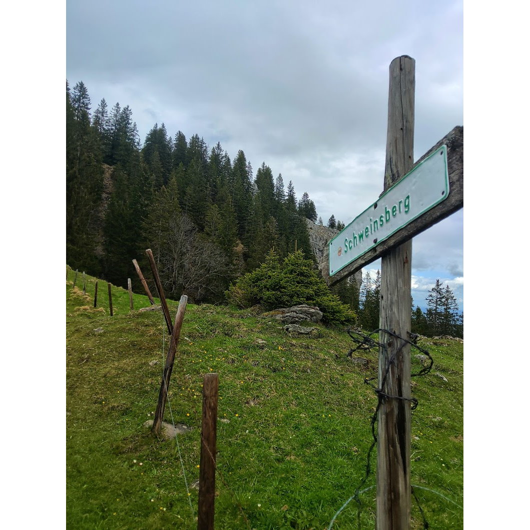 Schweinsberg Wegweiser