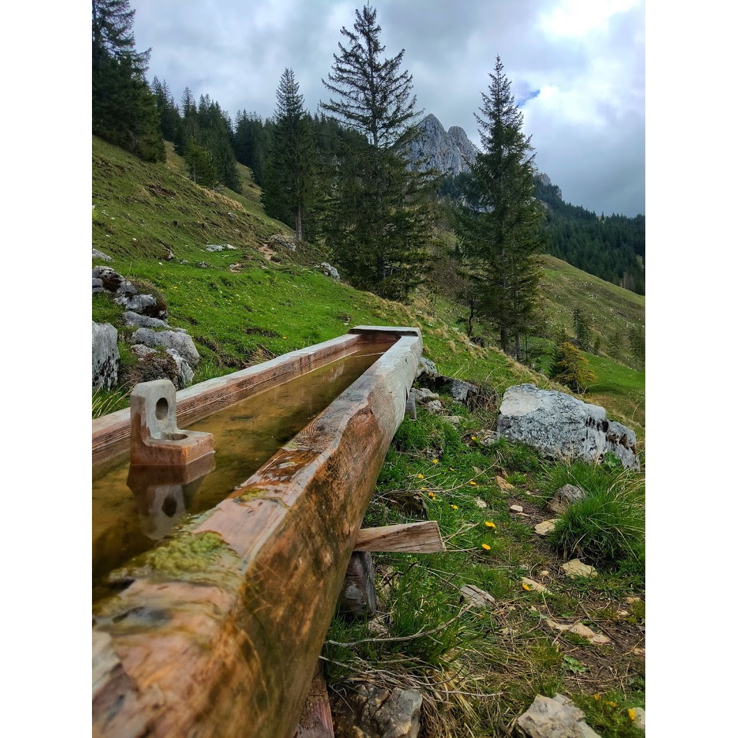 Brunnen mit Wendelstein im Hintergrund