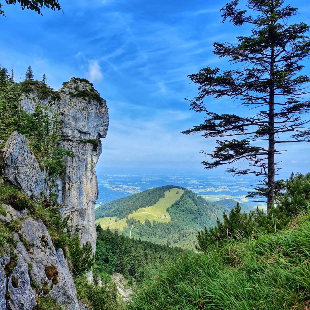 Gedererwand mit Zwölfer