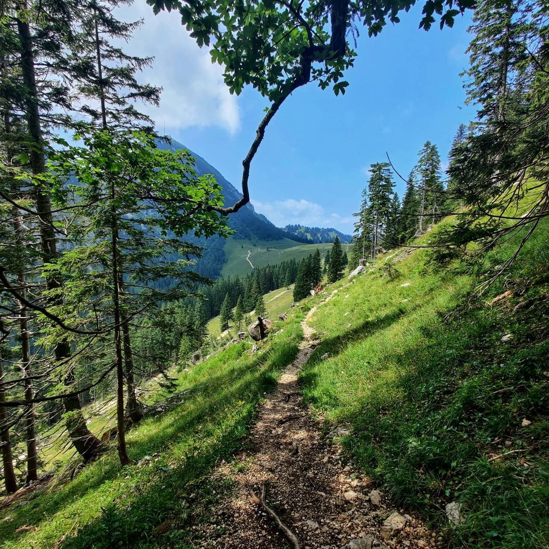 Weg von Hochsalwand zur Haidwand